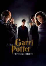 Гарри Поттер и Орден Феникса