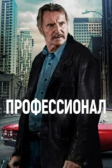 Профессионал