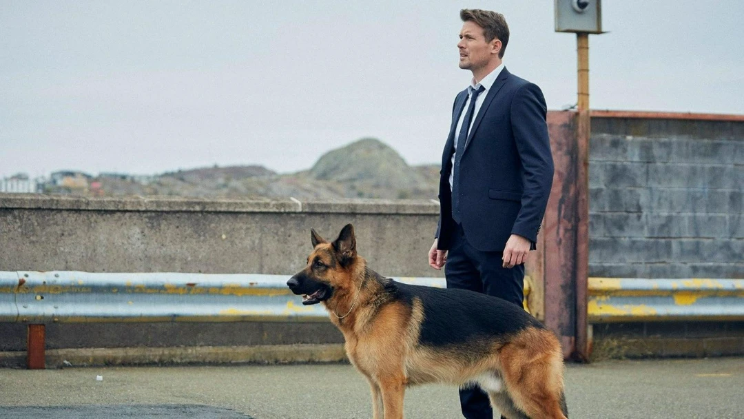 Сериал Хадсон и Рекс