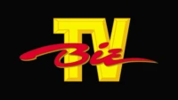 Biz TV