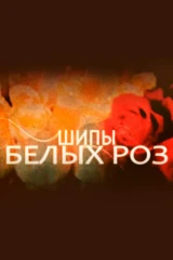 Шипы белых роз