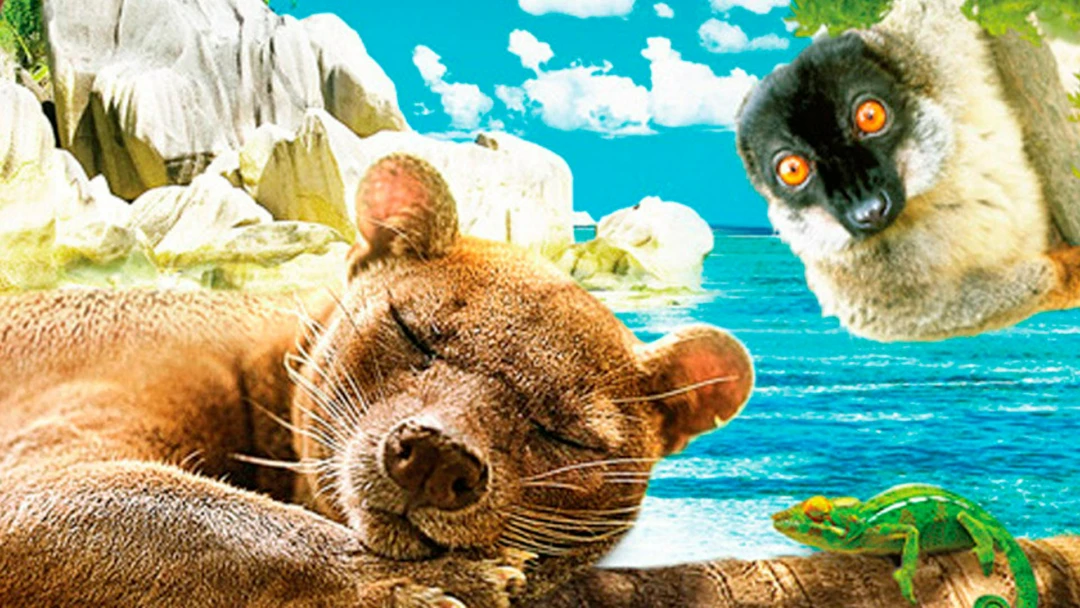 Фильм Madagaskar – 3