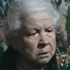 Александра Терёхина